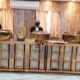 DS Caterers & Event Management