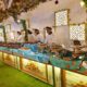 Sai Caterers and Events